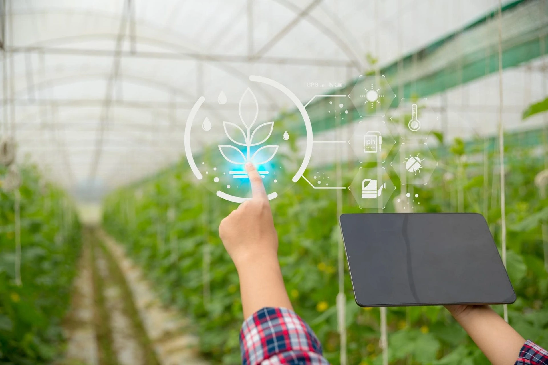 Petani Mulai Menggunakan IoT