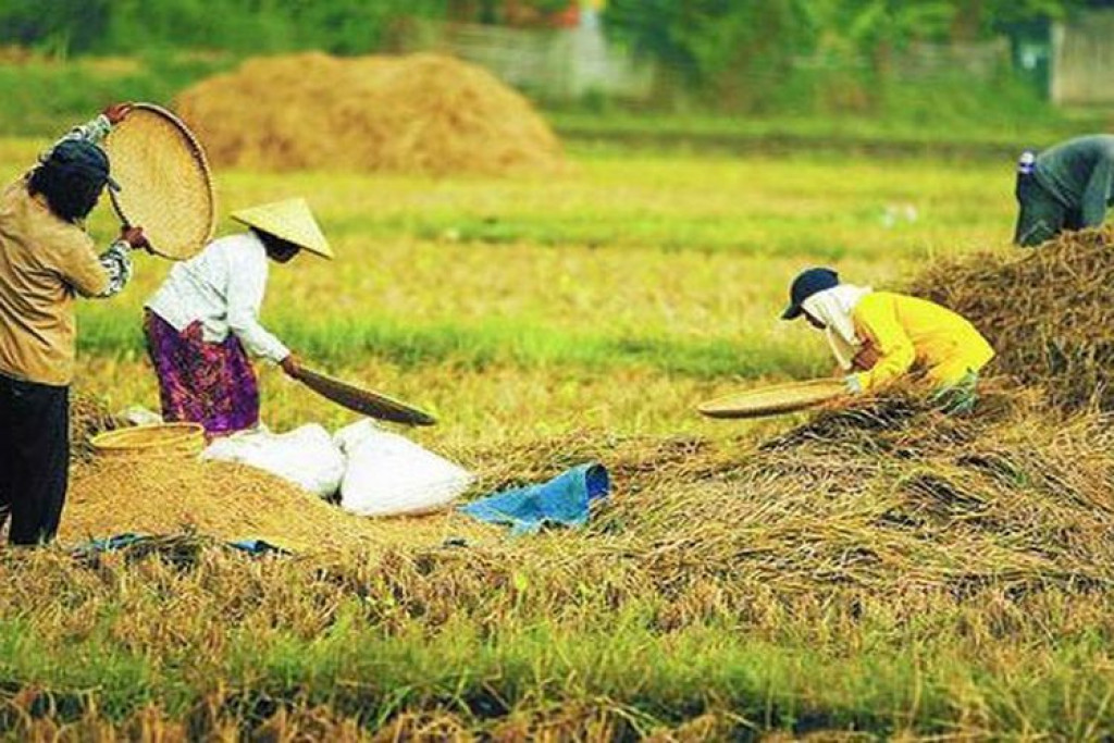 https://www.kabarsatunusantara.com/