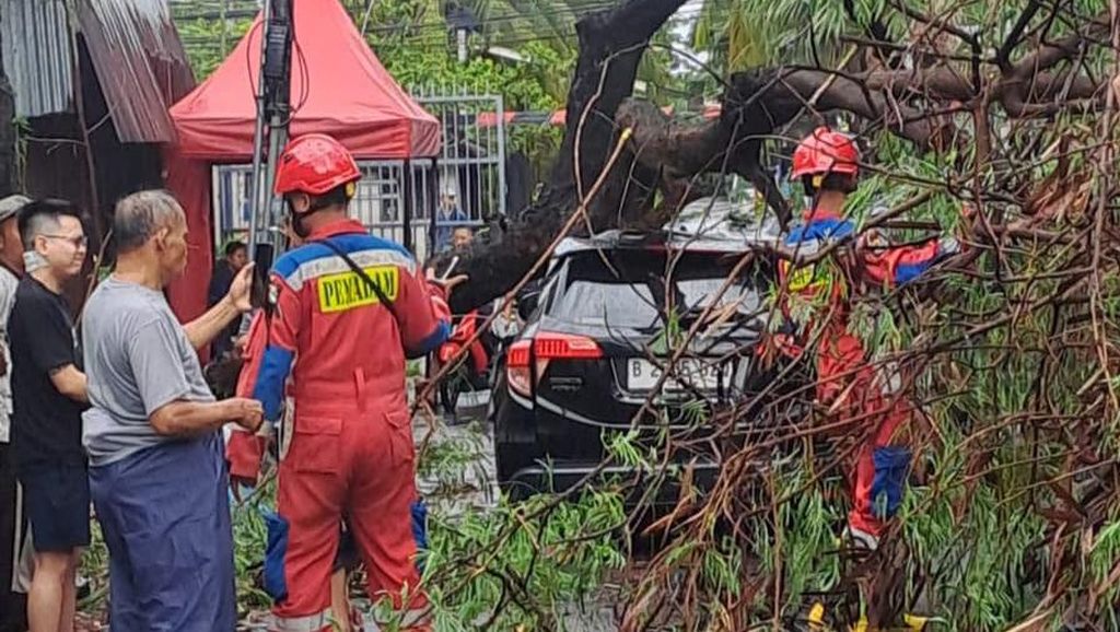 Jakarta Dilanda Hujan Angin Kencang: Mobil Jadi Korban Pohon Tumbang